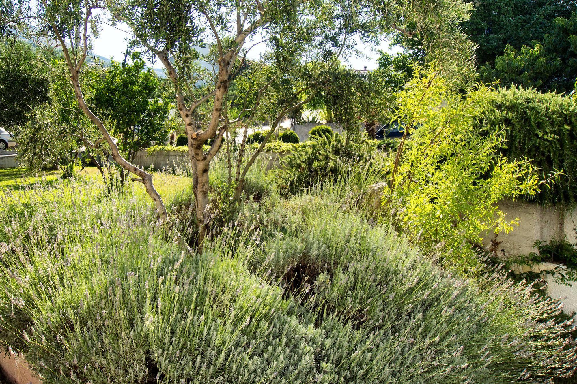 Villa Lavanda Подстрана Экстерьер фото